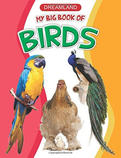 MY BIG BOOK OF BIRDS