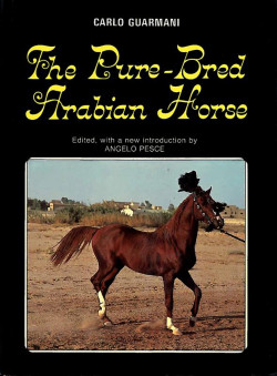 THE PURE BRED ARABIAN HORSE