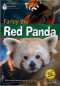 farley-the-red-panda-footprint-reading-library-1000