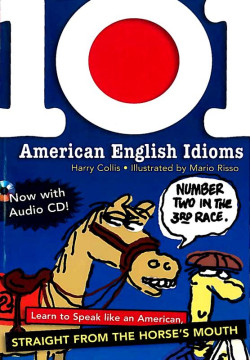 101 AMERICAN ENGLISH IDIOMS + CD