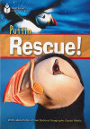 Puffin Rescue