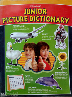 JUNIOR PICTURE DICTIONARY