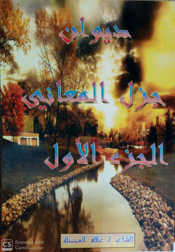ديوان جزل المعاني ج1
